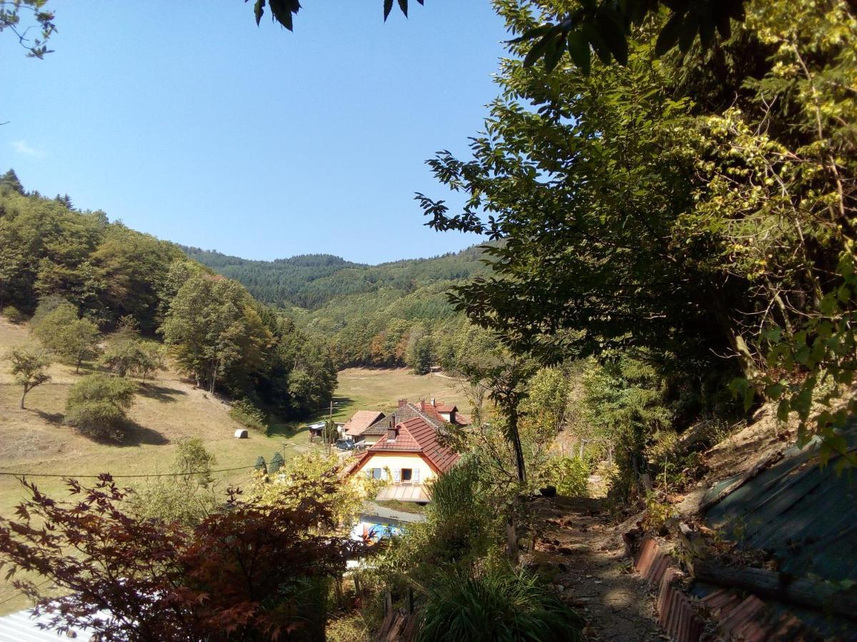 Abri De Jardin Amenage, Chambre Camping Glamour Hotel Lalaye Buitenkant foto
